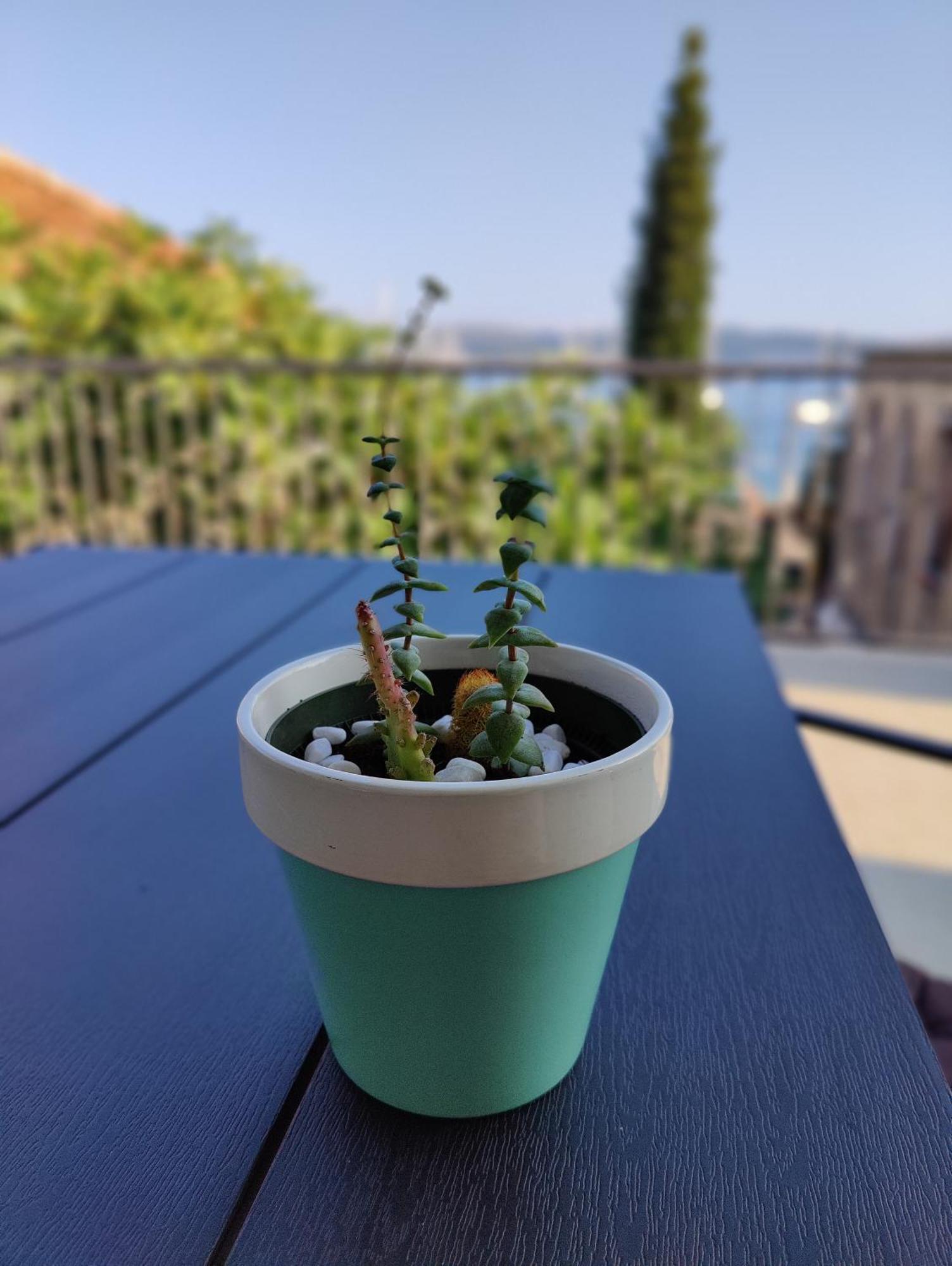 Miro Guesthouse ティヴァト エクステリア 写真